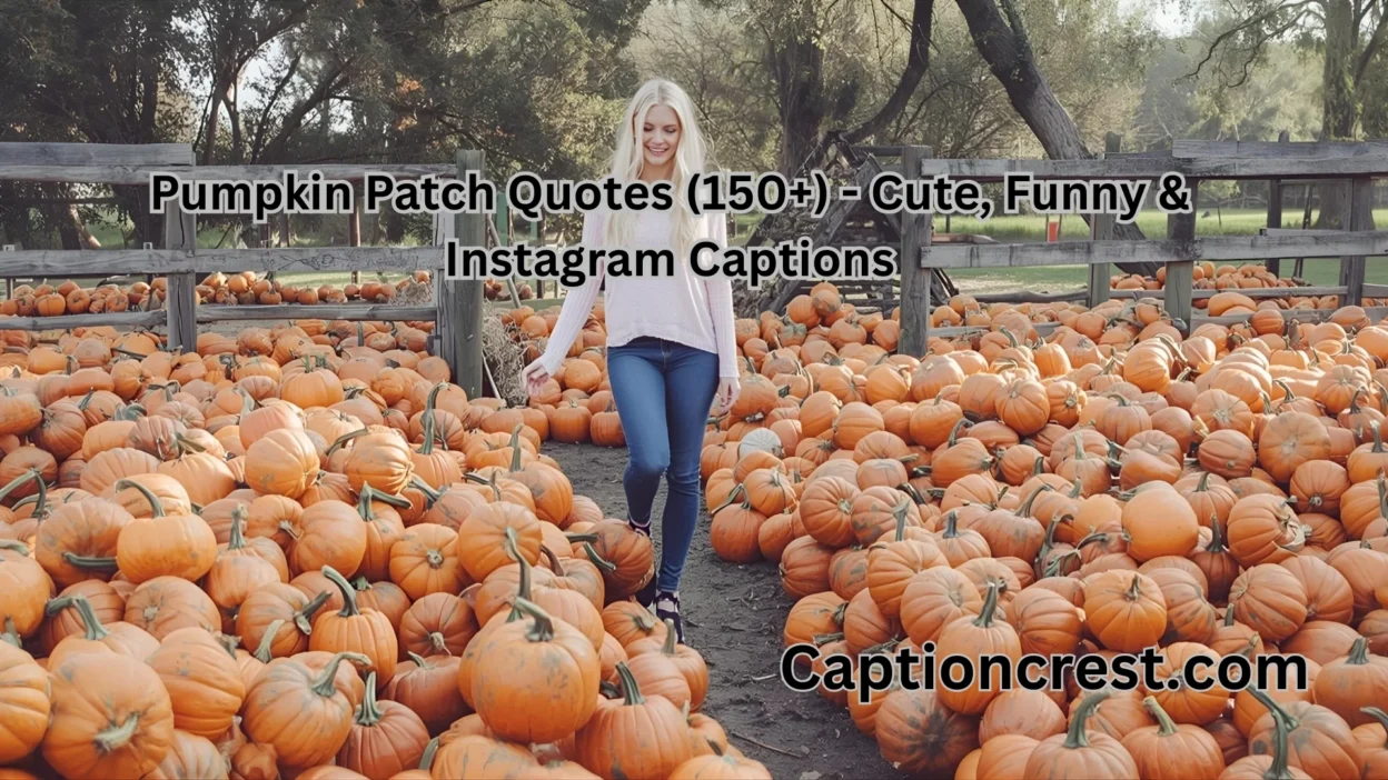 Pumpkin Patch Quotes (150+) - Cute, Funny & Instagram Captions