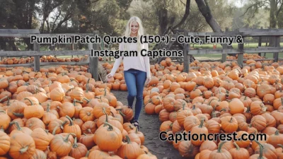 Pumpkin Patch Quotes (150+) - Cute, Funny & Instagram Captions