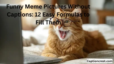 Funny Meme Pictures Without Captions 12 Easy Formulas to Fill Them