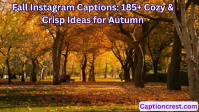 Fall Instagram Captions 185+ Cozy & Crisp Ideas for Autumn